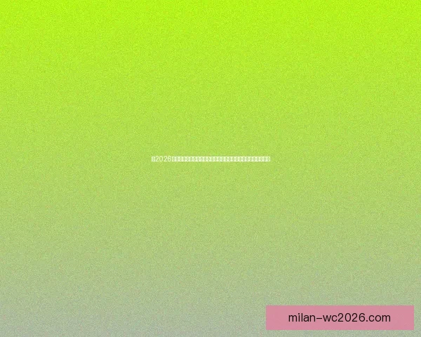 以2026世界杯比赛场地为中心串联北美城市文化与足球激情的盛会图景